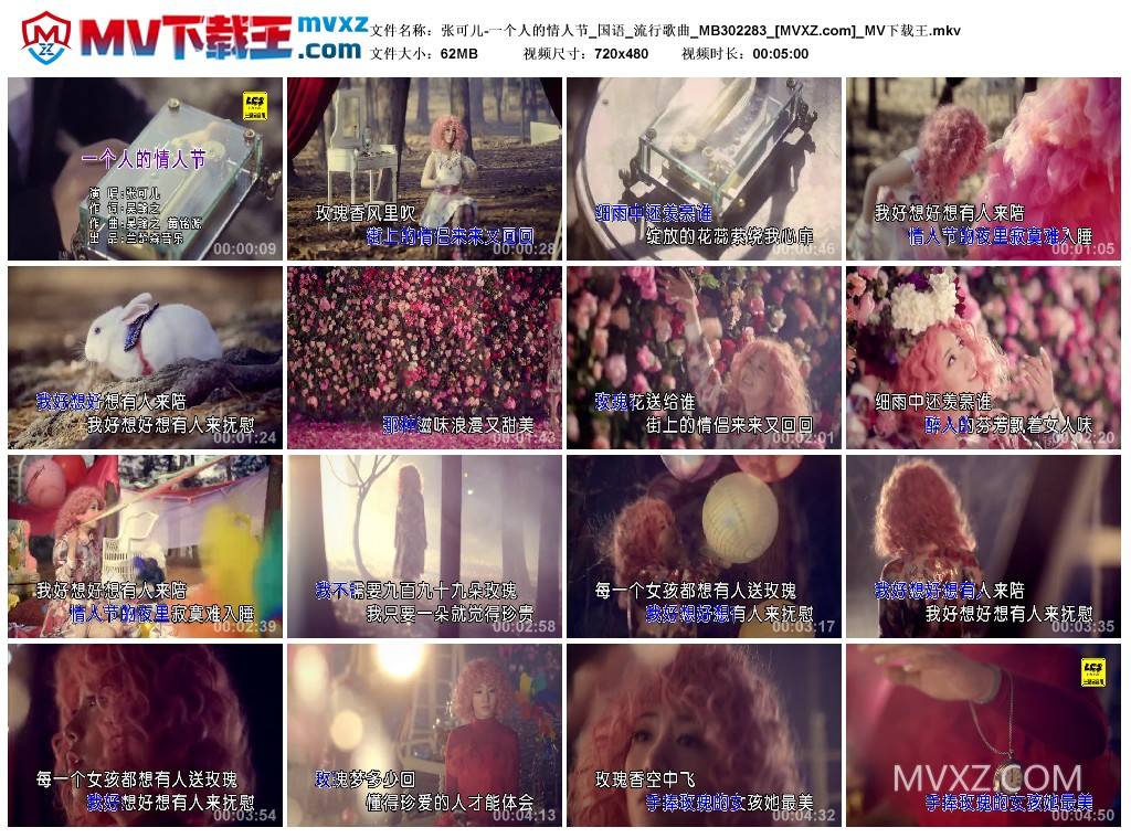 张可儿-一个人的情人节_国语_流行歌曲_MB302283